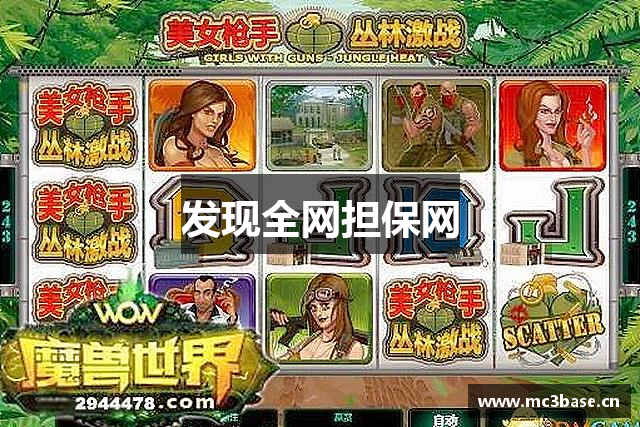 发现全网担保网